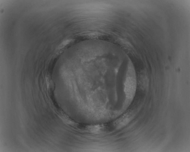 X0000073410131200608251534