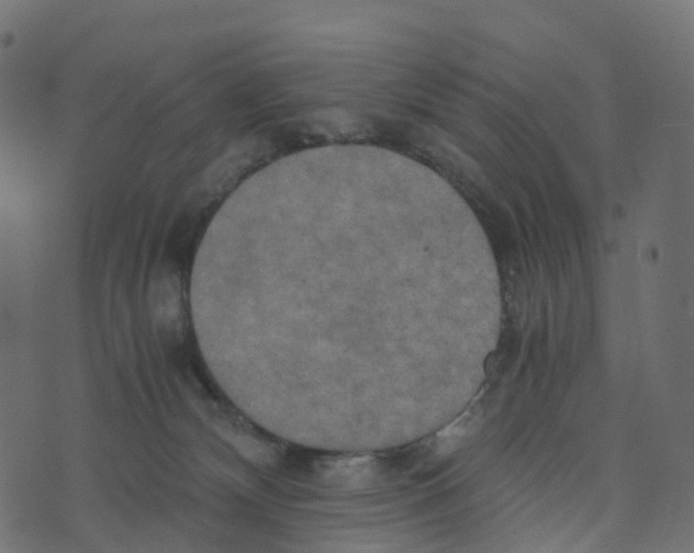 X0000073410132200608251534