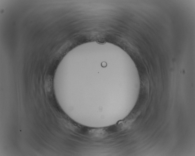 X0000073410133200608251534