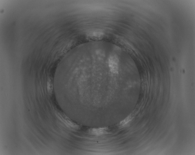 X0000073410134200608251534