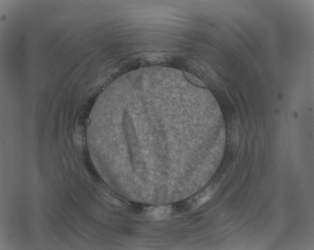 X0000073410135200608251534