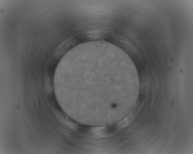 X0000073410136200608251534