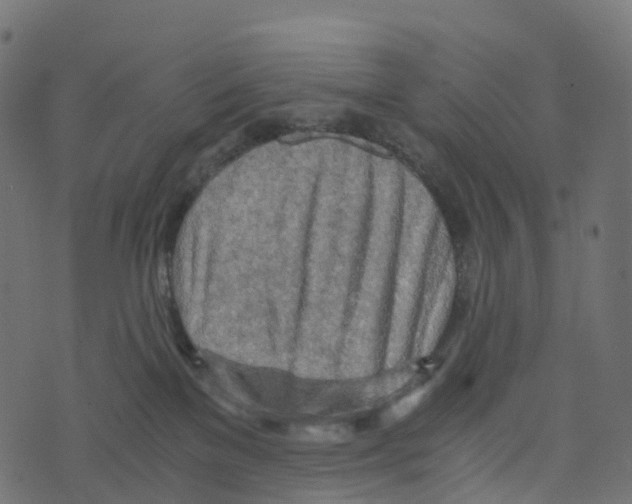 X0000073410137200608251534