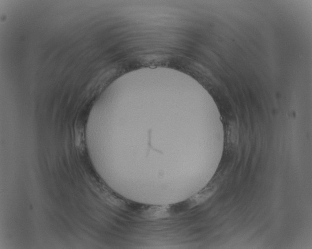 X0000073410138200608251534