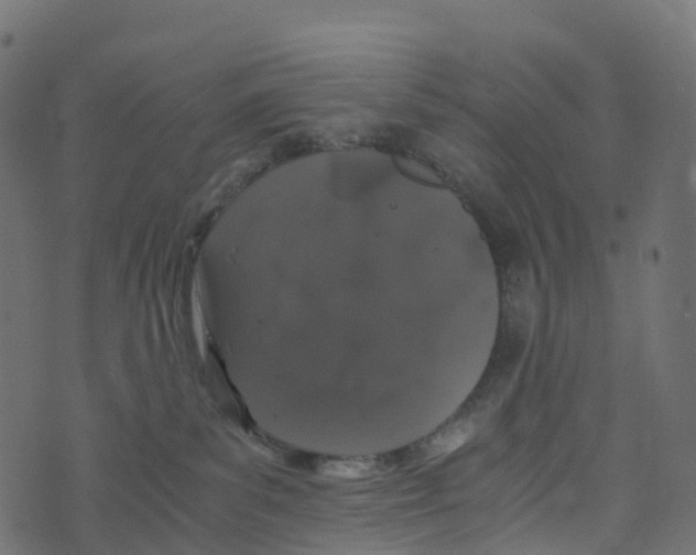 X0000073410139200608251534