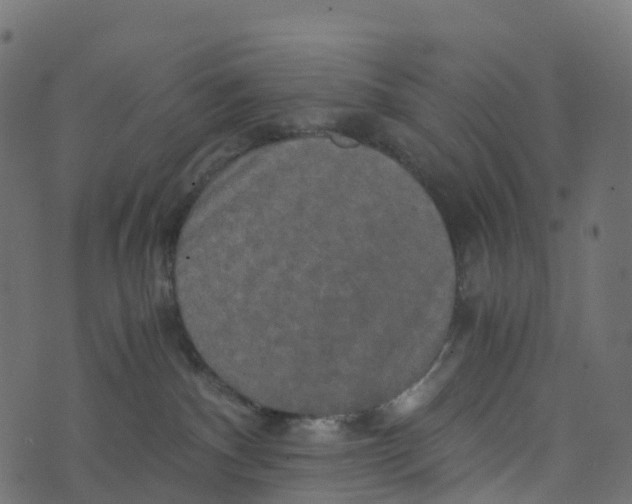 X0000073410140200608251534