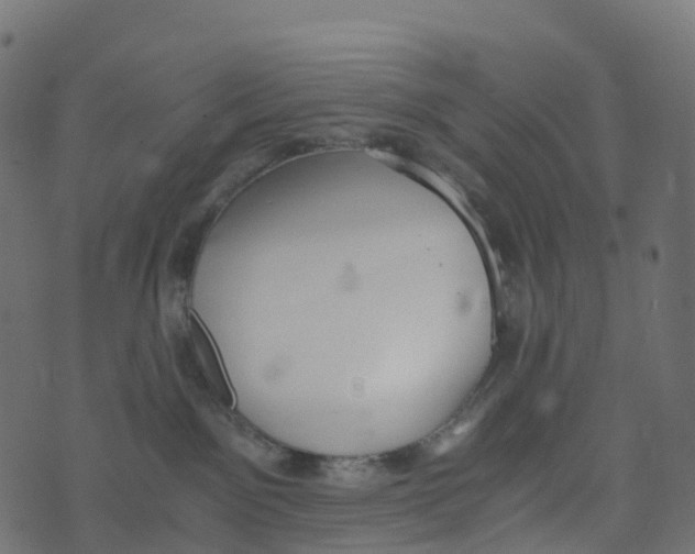 X0000073410141200608251534