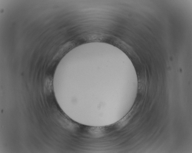 X0000073410142200608251534