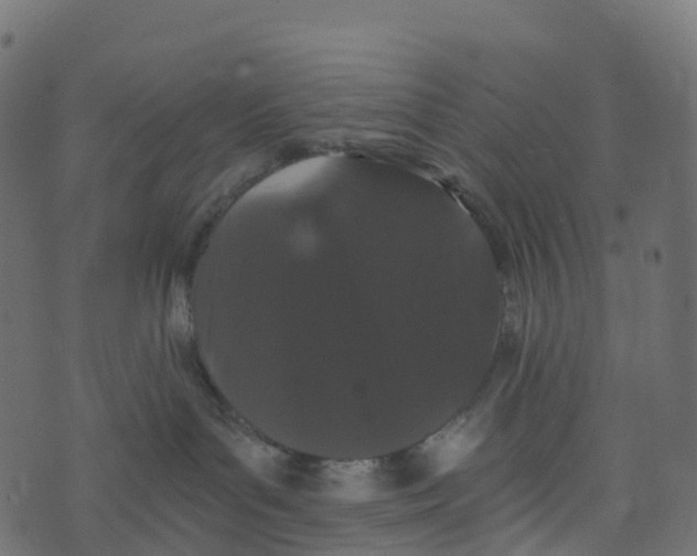 X0000073410143200608251534