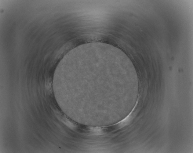 X0000073410144200608251534