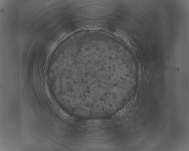 X0000073410145200608251533