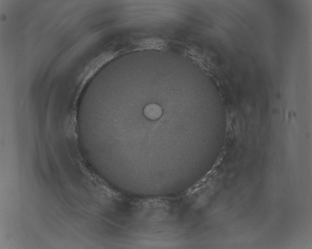 X0000073410146200608251533