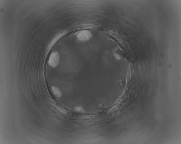 X0000073410147200608251533