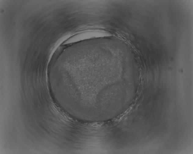 X0000073410148200608251533