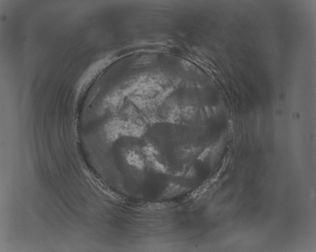 X0000073410149200608251533