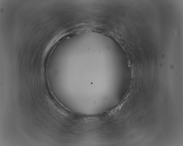 X0000073410150200608251533