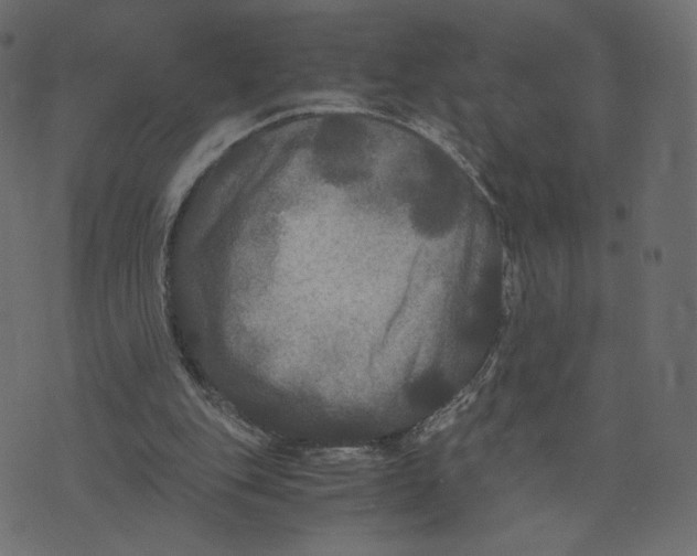 X0000073410151200608251533