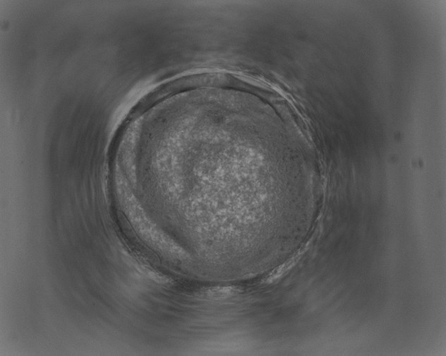 X0000073410152200608251533