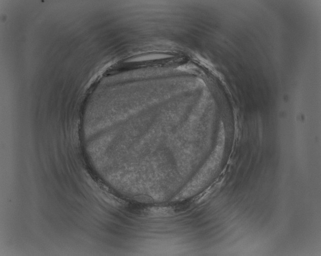 X0000073410154200608251534