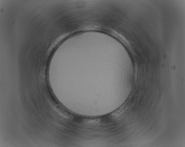 X0000073410155200608251534