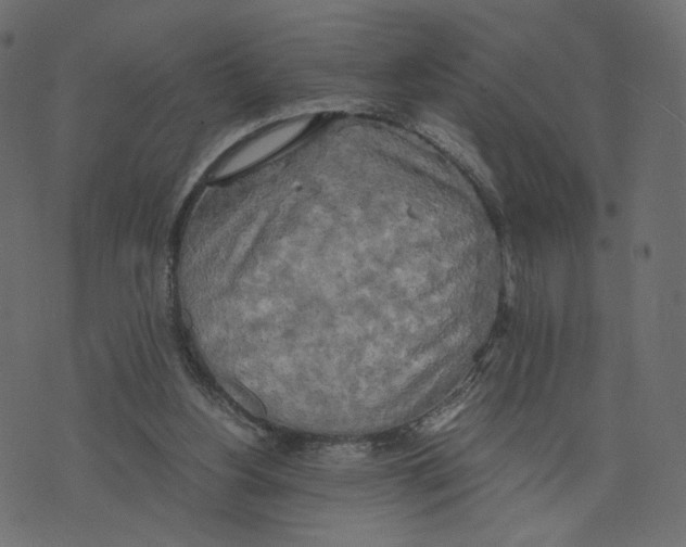 X0000073410156200608251534