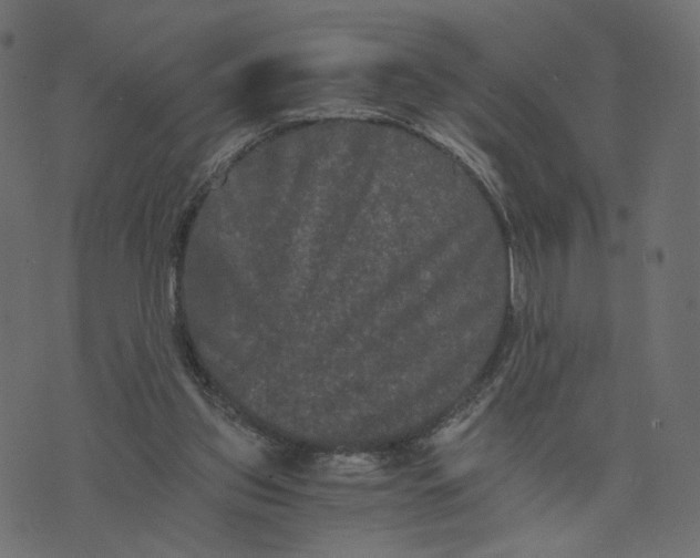 X0000073410157200608251534