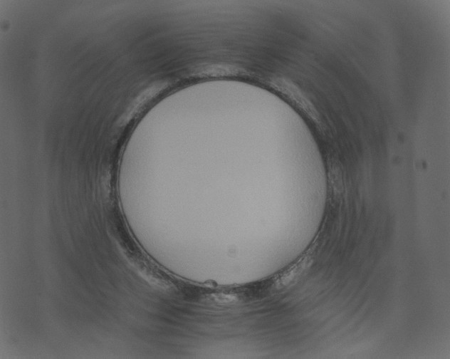 X0000073410159200608251534