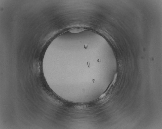 X0000073410160200608251534