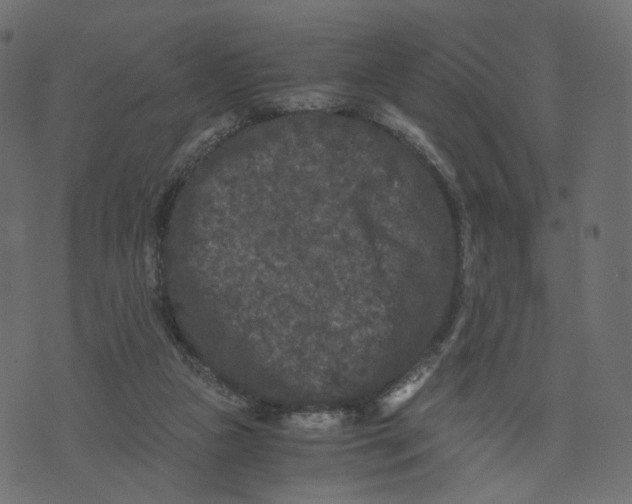 X0000073410161200608251534