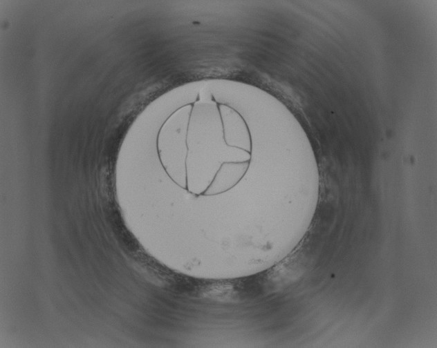 X0000073410162200608251534