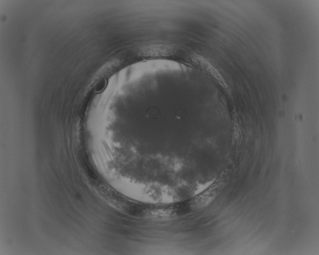 X0000073410163200608251534