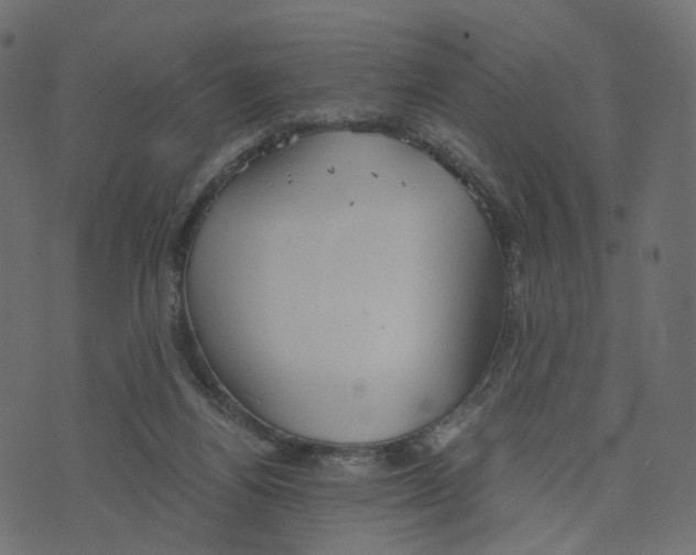 X0000073410164200608251534