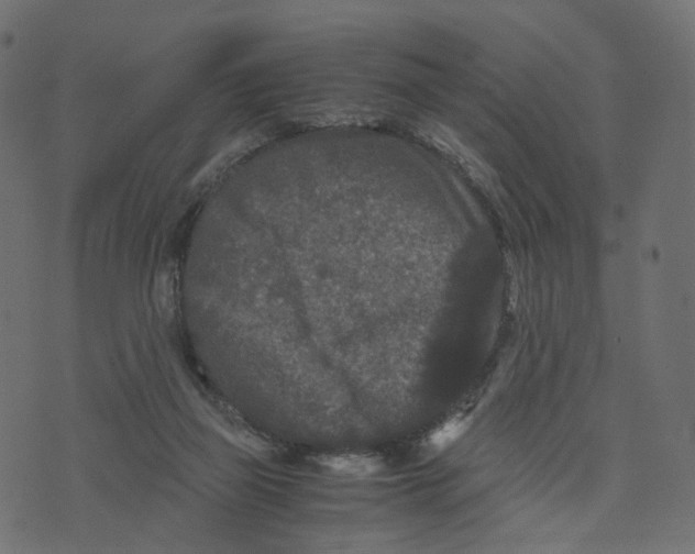 X0000073410165200608251534