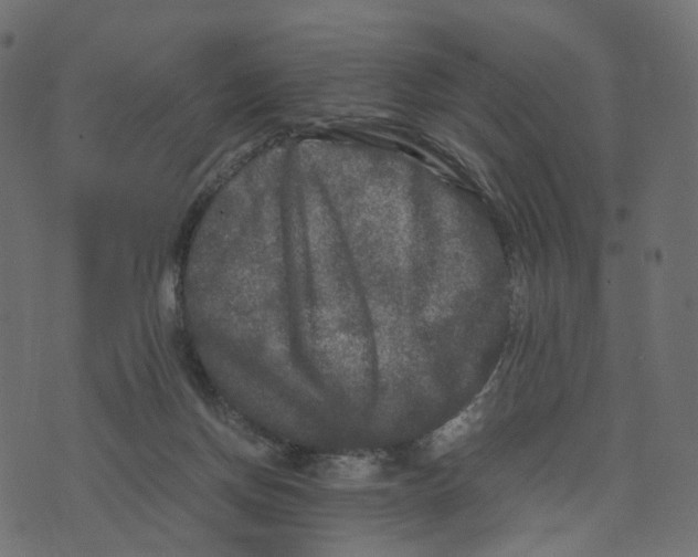 X0000073410166200608251534