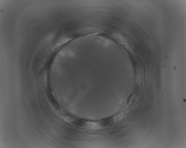 X0000073410167200608251534