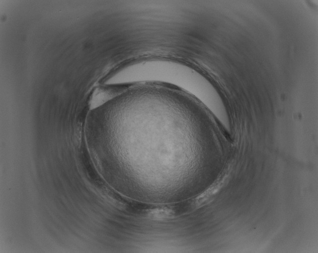 X0000073410168200608251534