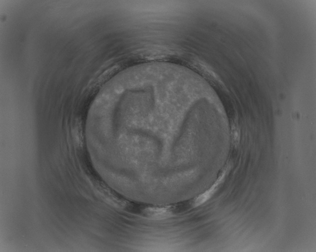 X0000073410170200608251534