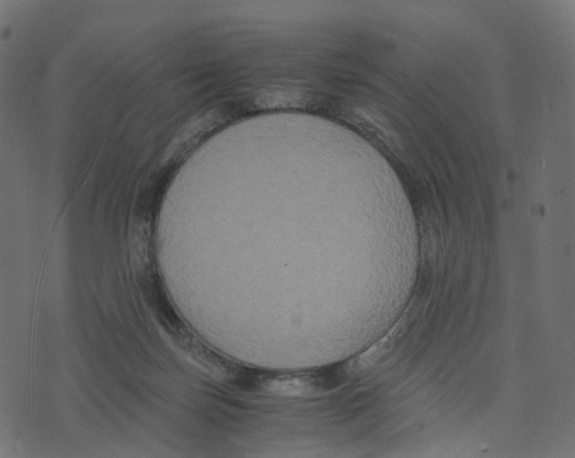 X0000073410171200608251534