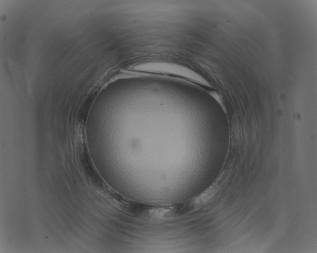 X0000073410172200608251534