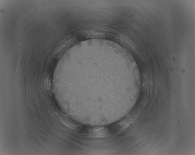 X0000073410173200608251534