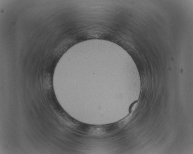 X0000073410174200608251534