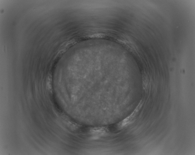 X0000073410175200608251534