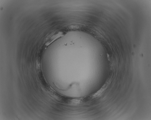 X0000073410176200608251534