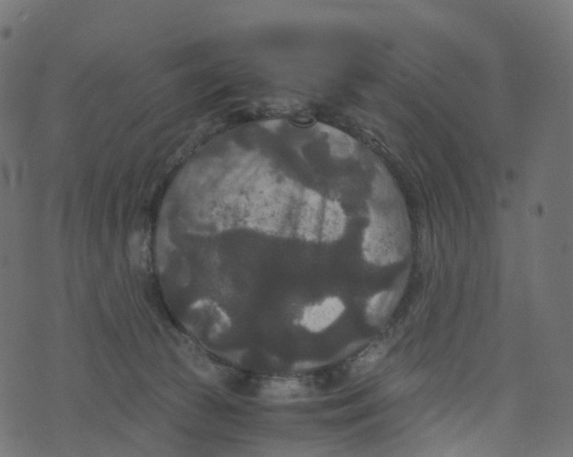 X0000073410177200608251534