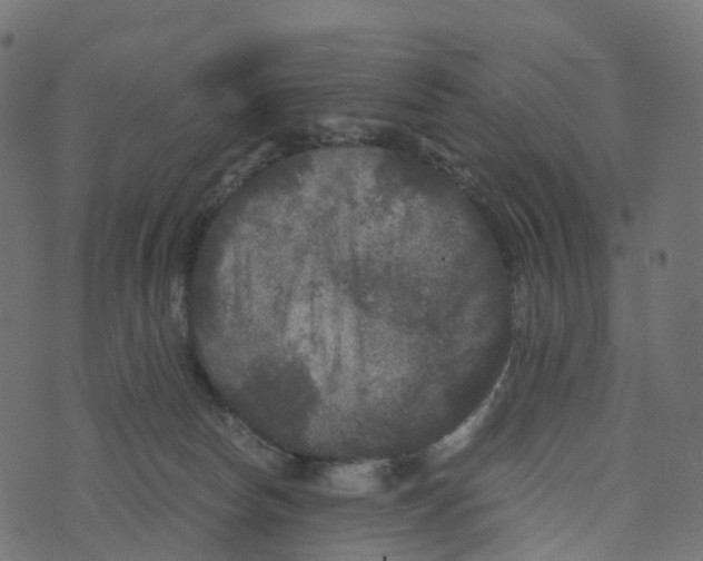 X0000073410178200608251534