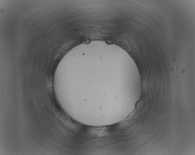 X0000073410179200608251534