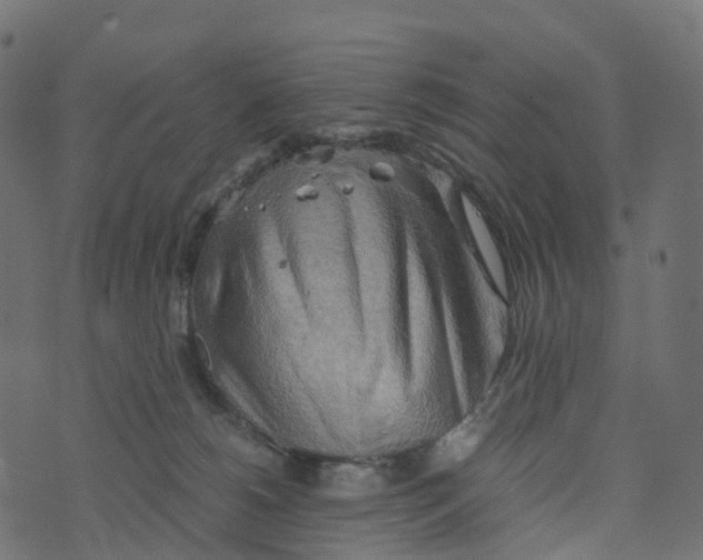 X0000073410180200608251534