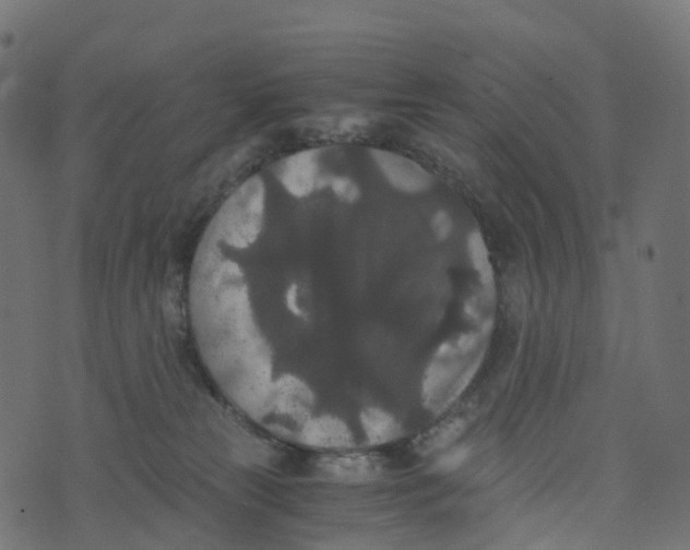 X0000073410181200608251534