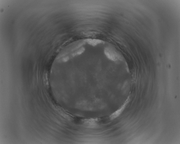 X0000073410182200608251534