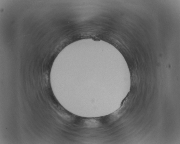 X0000073410183200608251534